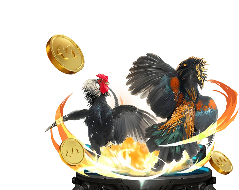 Các chủng loại gà chiến phổ biến tại mb88 online